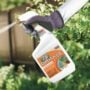 Captain Jack’s Liquid Copper Fungicide – Bonide – 32 oz
